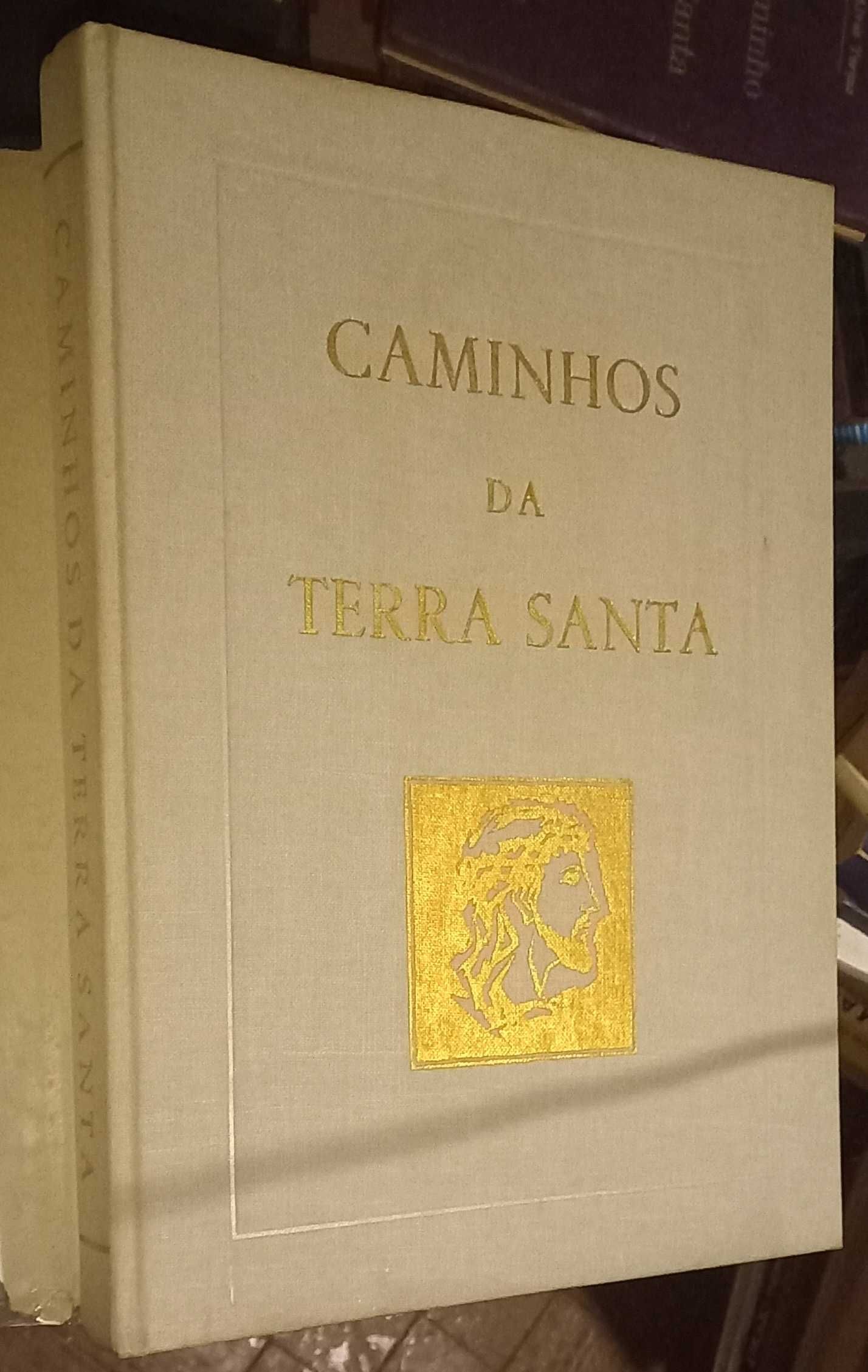 Caminhos para a Terra Santa (vários livros).