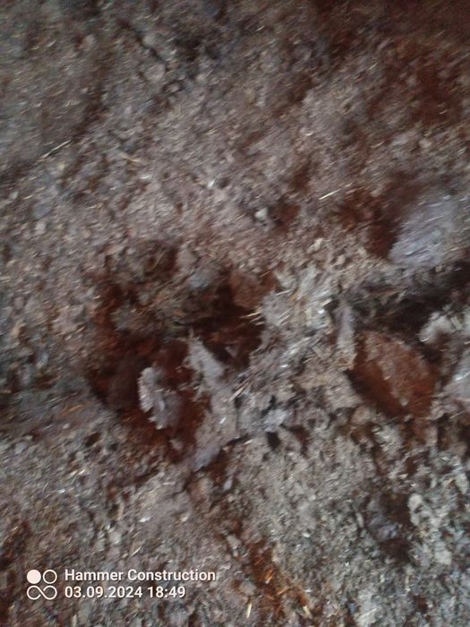 Obornik bydlęcy worek 55kg z dostawa