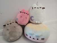 Maskotki pusheen