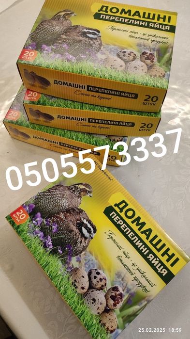 Перепелині яйця домашні, харчові і інккбаційні. Тушки перепела м'ясо