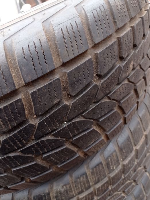 Покрышки Dunlop Sport