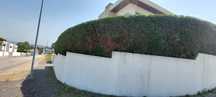 Trabalho de jardinagem