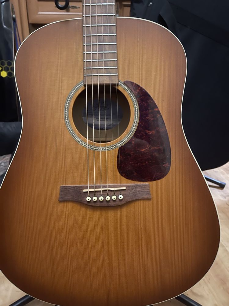 Гітара Godin Seagull Entourage Rustic