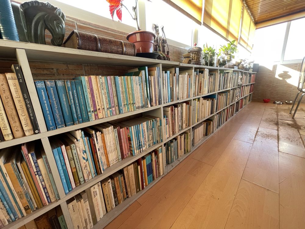 Livros diversos e antigos, alguns sao reliquias.