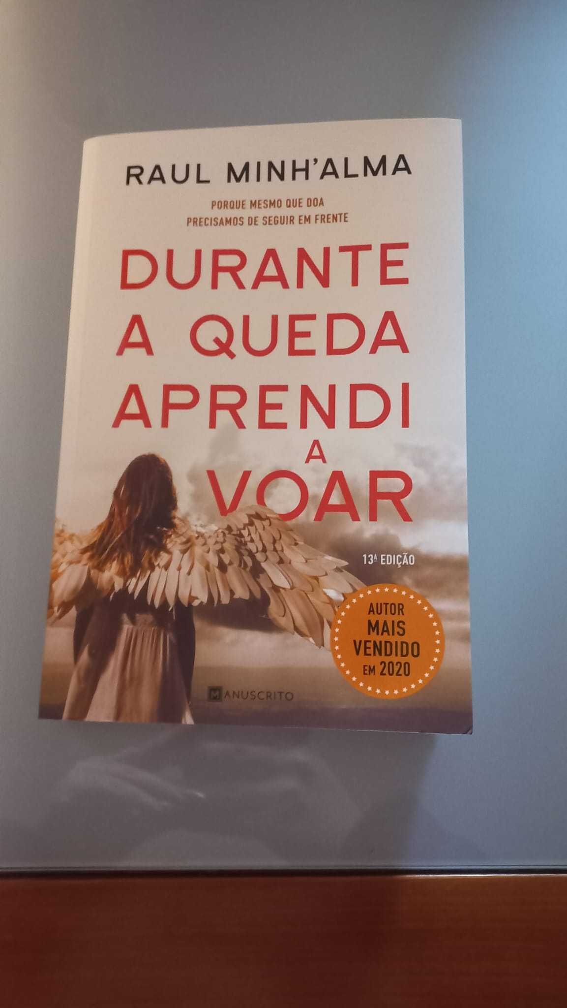 Livro: Durante a queda aprendi a voar