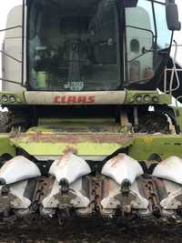 Жатка кукурудзяна Claas conspeed Cario