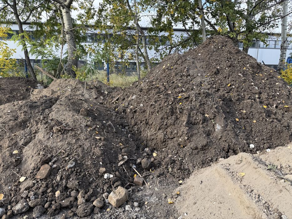 Oddam Ziemię Kraków Nowa Huta Igołomska
