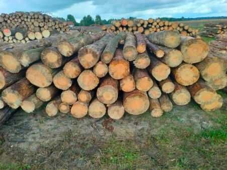 Drewno opałowe od 170zl za 1mp