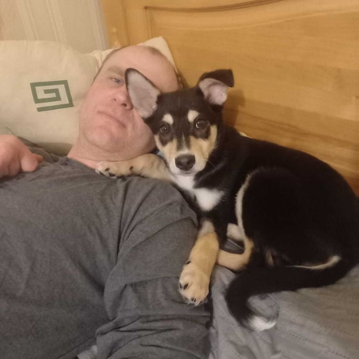 В ПОЛЬШУ индивидуальная перевозка животных