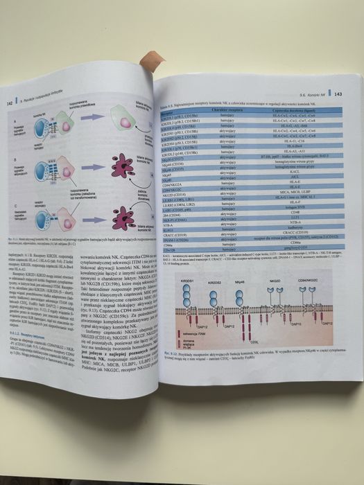 Immunologia GOŁĄB