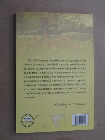 Corrigindo o Passado Construindo o Futuro de Durval Ciamponi