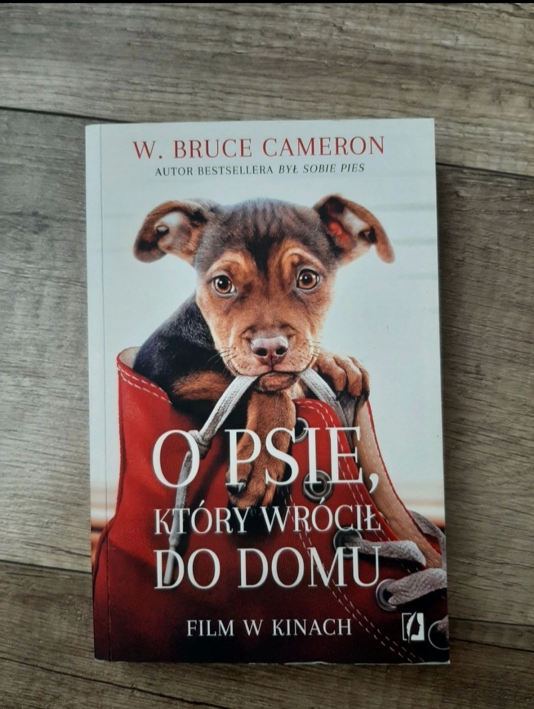 W. Bruce Cameron "O psie, który wrócił do domu"
