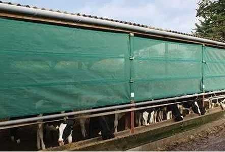 Tkanina przeciwwietrzna na otwarte ściany budynków 1x25 m,