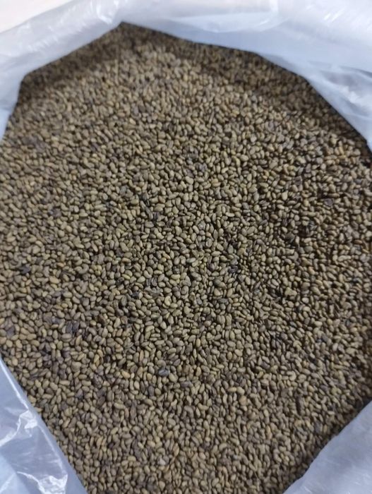 Продам насіння люцерни Надія