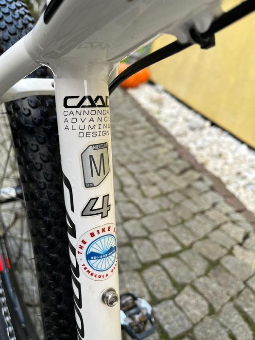 Cannondale F29 Lefty