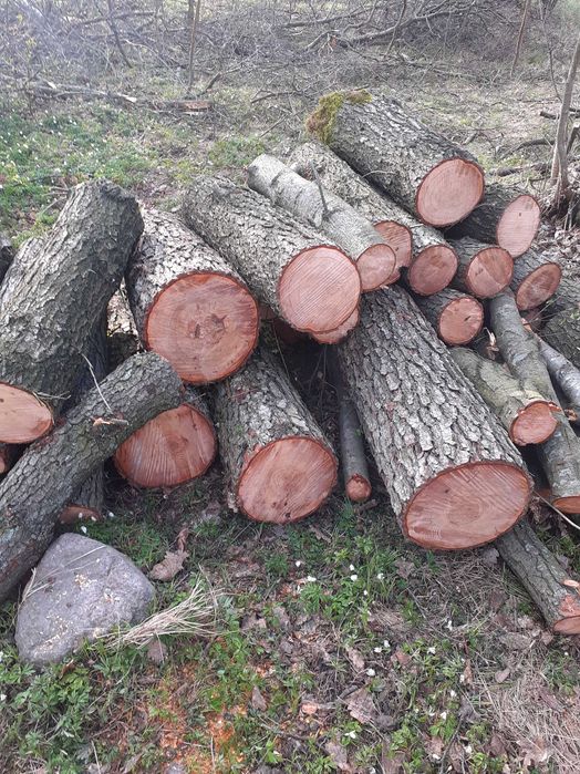 Drewno opałowe kominkowe