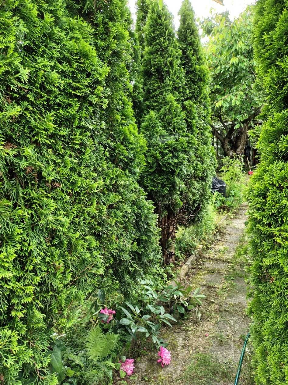 Działka ROD Poranek 340 m2 ul. Olkuska Łódź