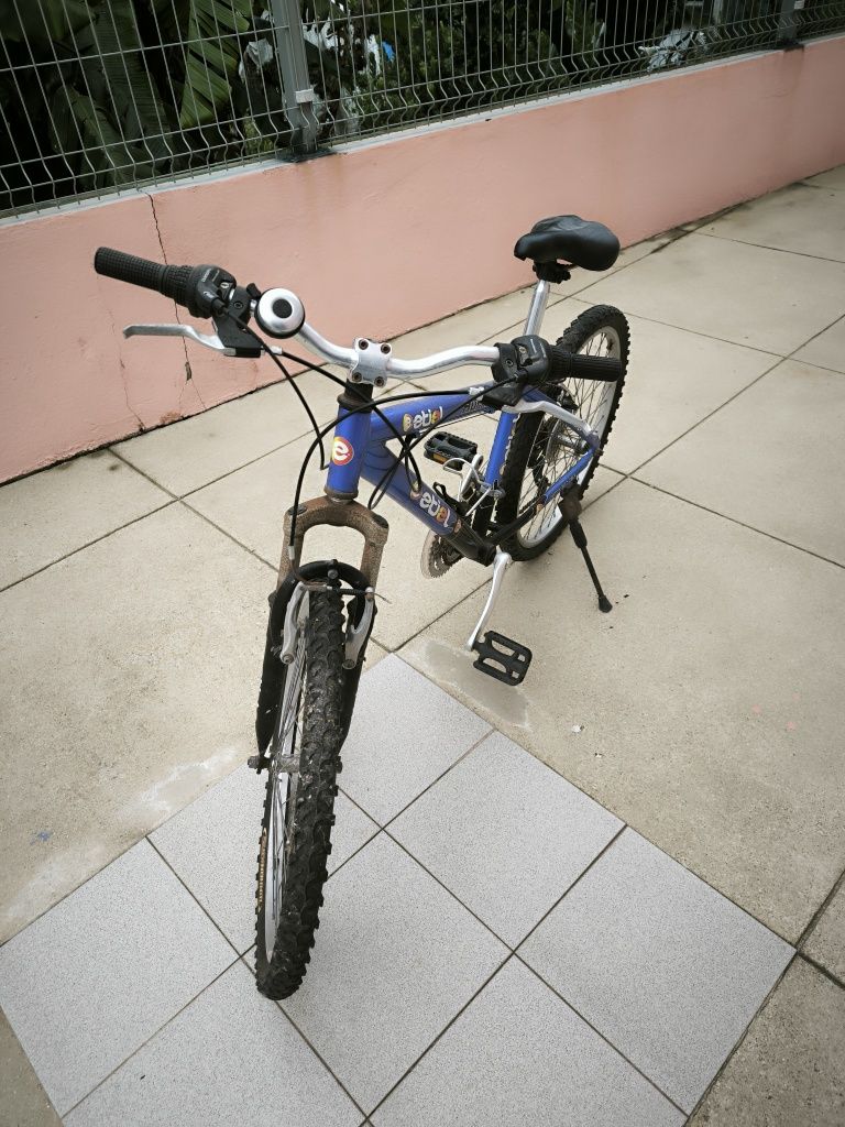 Bicicleta Etiel roda 24