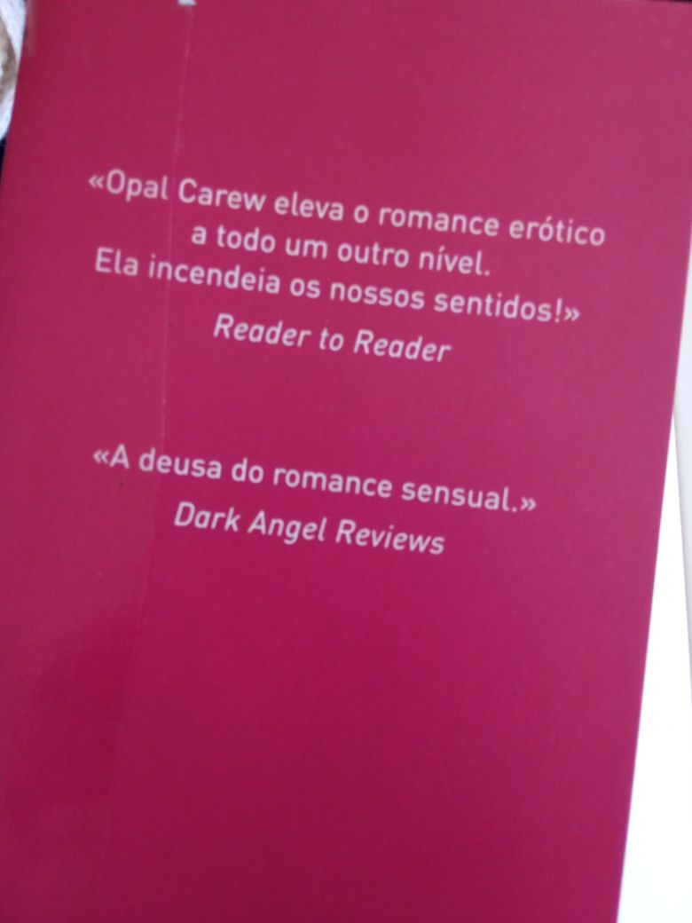 Livro "Uma Mulher Entre Homens"