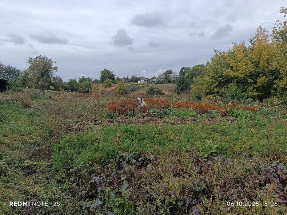 Продаж будинку в с.Рубченки