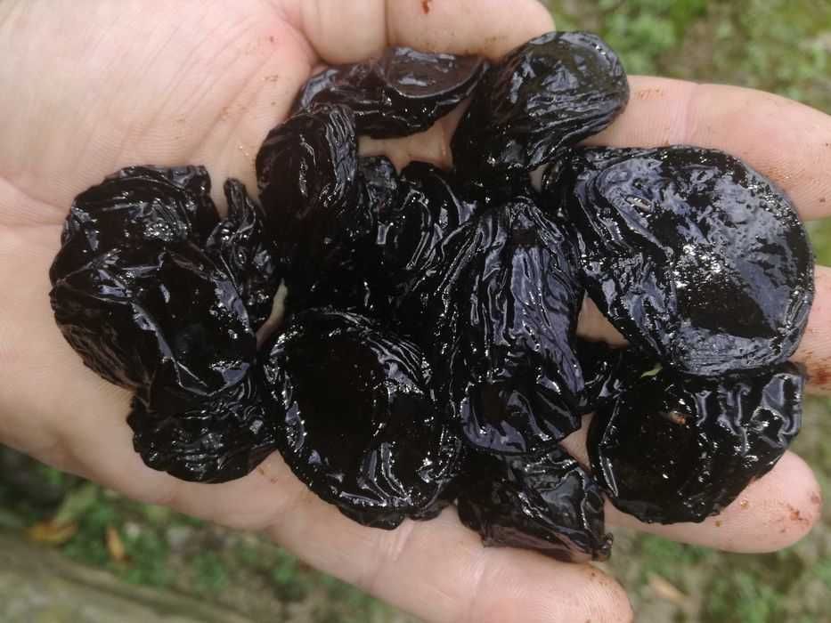 Śliwa węgierka suszona tradycyjnie dymem