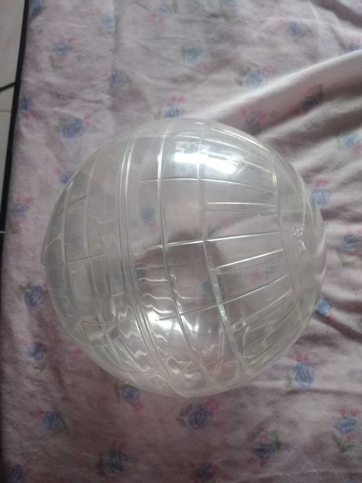 Bola de exercício para pequenos roedores