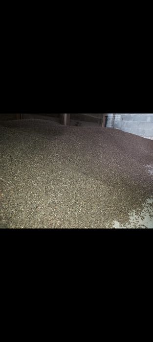 Gryka, nasiona gryki