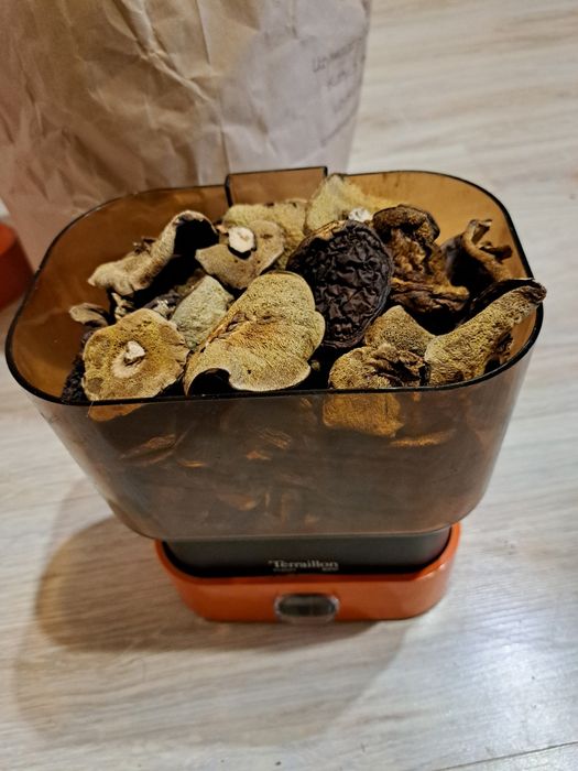 Grzyby suszone podgrzybki