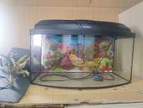 Akwarium aquael 54l