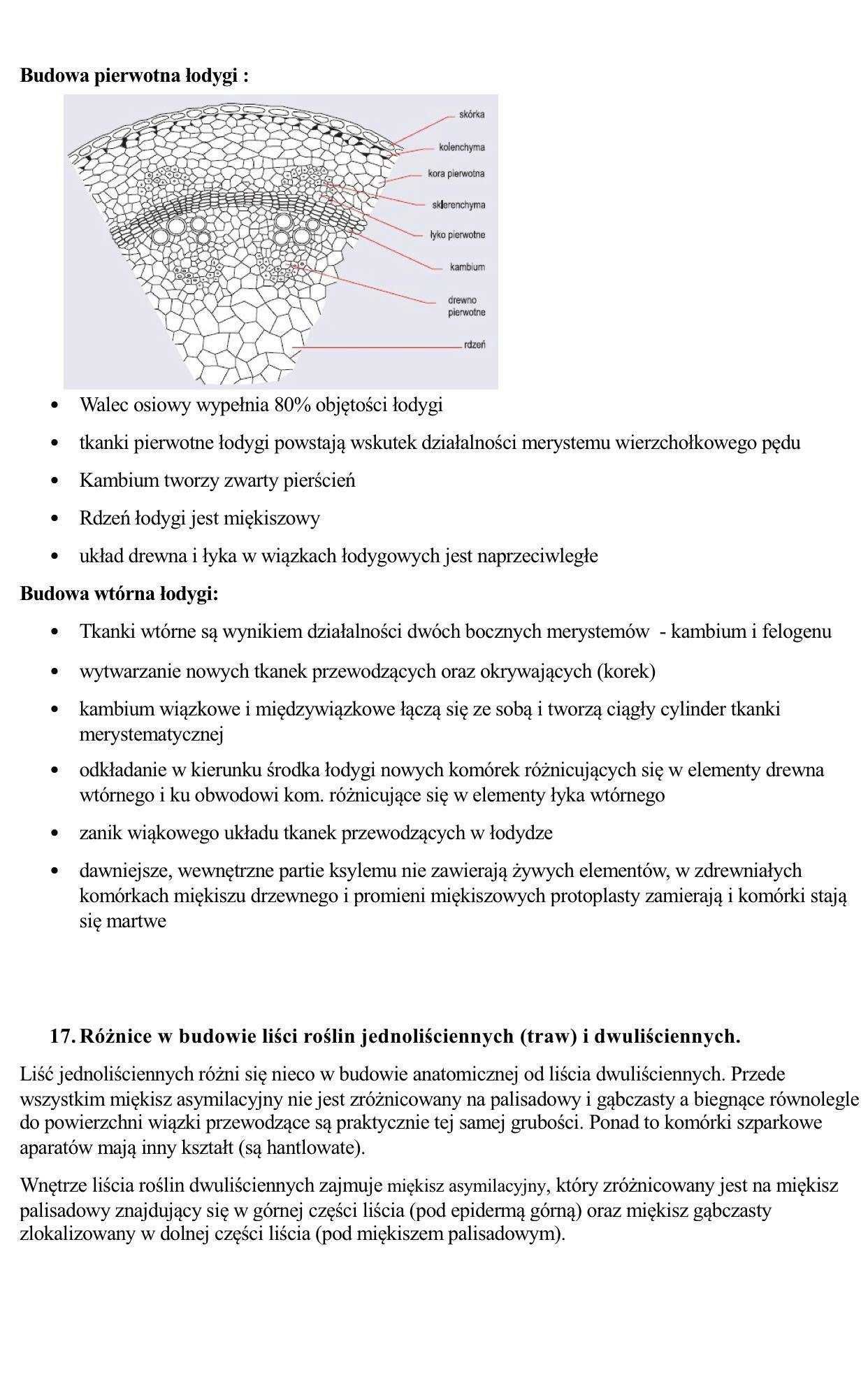 Notatki z BOTANIKI kierunek Biotechnologia