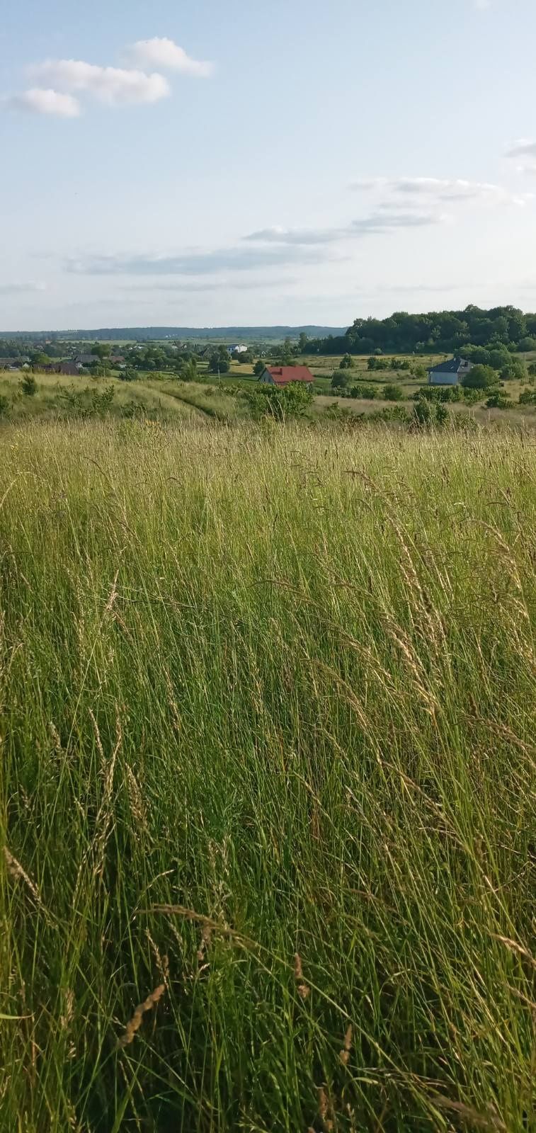 Продається ділянка під забудову в хорошому районі в селі Підберізці