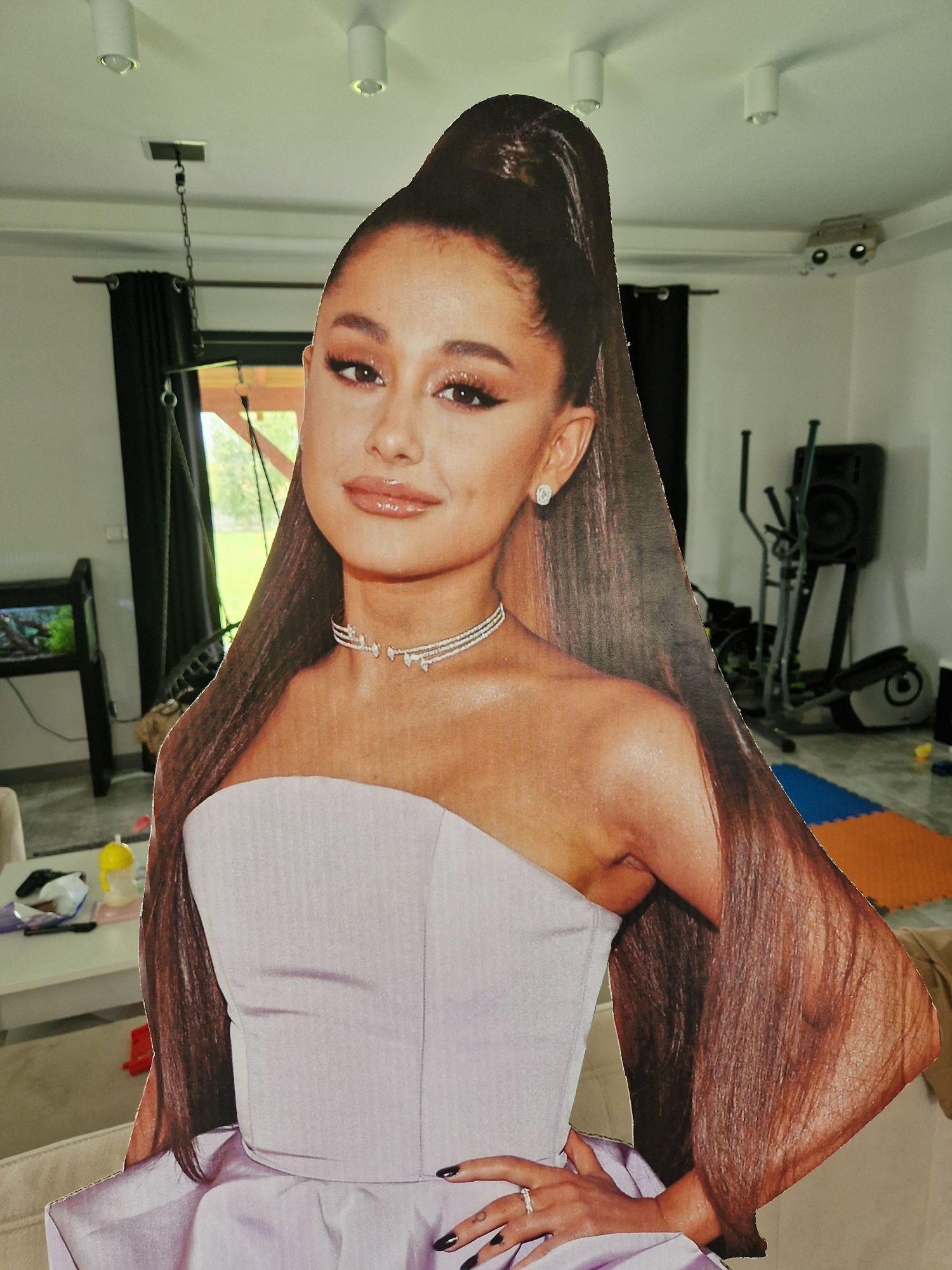 Ariana Grande karton zdjęcie