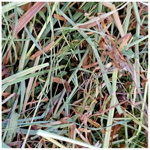 Siano dla chomika łąkowe z pierwszego pokosu 500g drobna frakcja