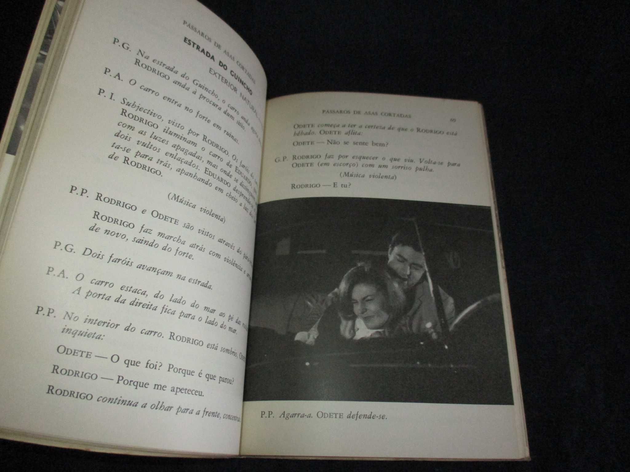 Livro Guião Pássaros de Asas Cortadas Luís Francisco Rebelo