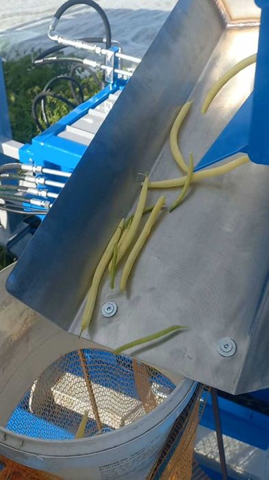 kombajn do fasolka szparagowa bób soja edamame FONTANA