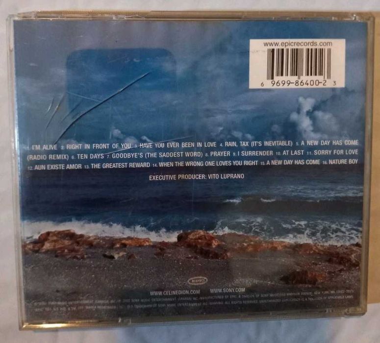A New Day Has Come by Celine Dion (CD, 2002)