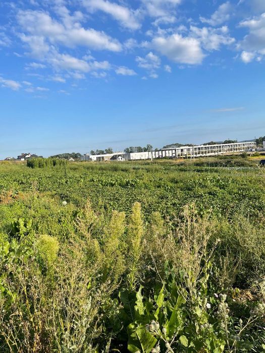 Три земельні ділянки біля Львова/Земельна ділянка/Велика ділянка