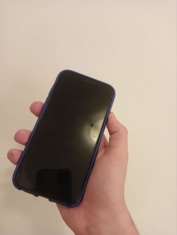 iPhone 11 256 GB 100% pojemności