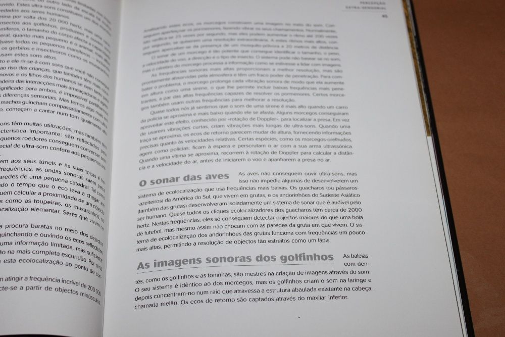 Supernatural - Os Poderes Ocultos dos Animais
