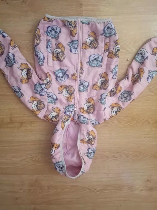 Kurteczka psi patrol,  nickelodion