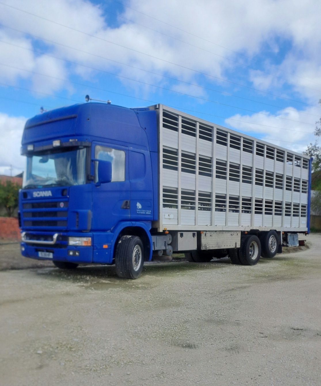 Scania 530 para transporte de animais