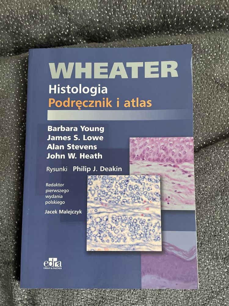 Wheather histologia
