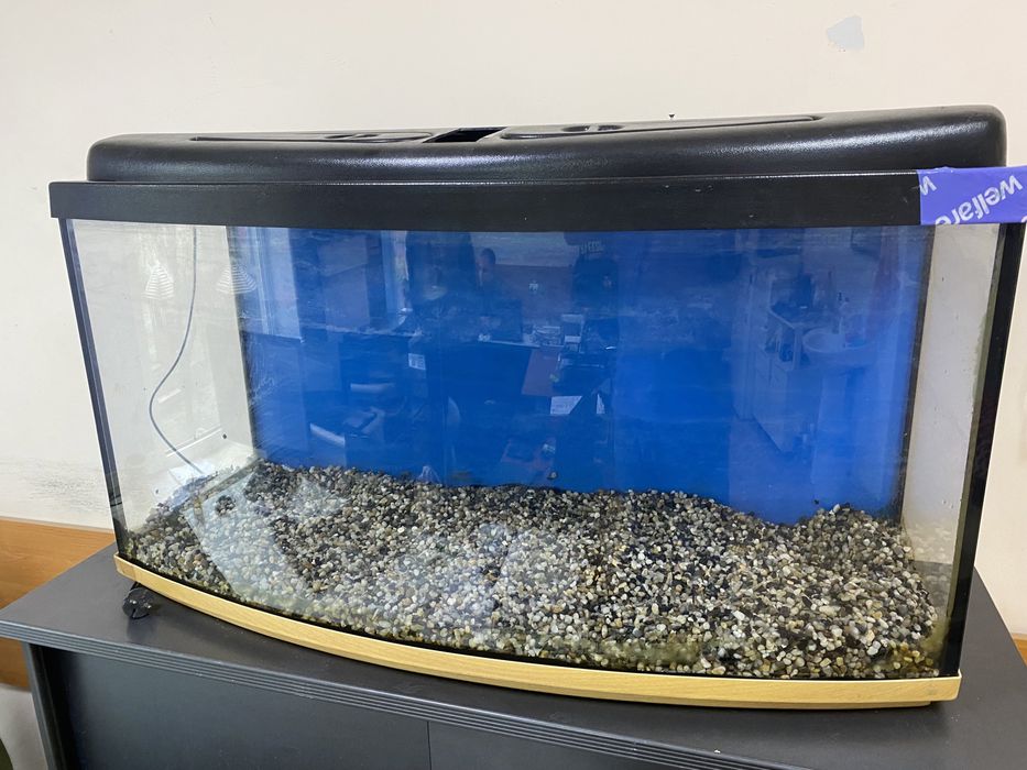 Аквариум 200 литров