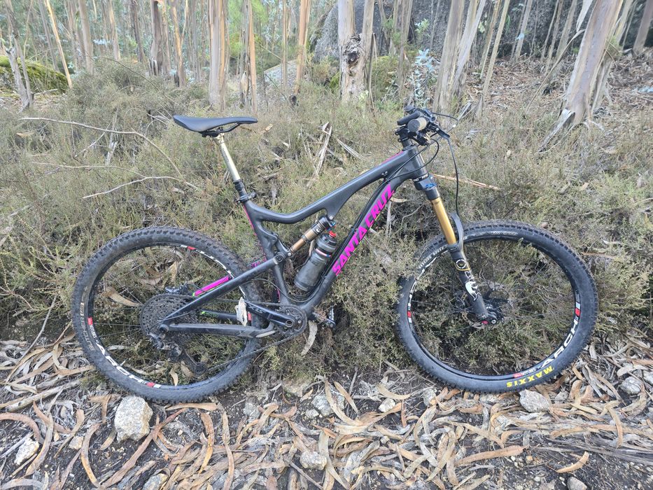 Santa Cruz Bronson