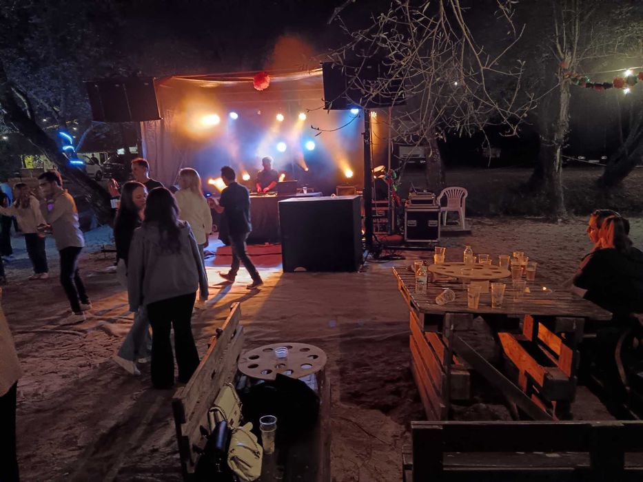 Teclista/Vocalista & Aluguer de Som e Luz