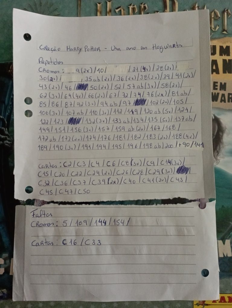 Coleção Harry Potter - Um ano em Hogwarts