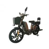 Електричний велосипед FADA РУТА 800W 60V-15A Lead-Acid