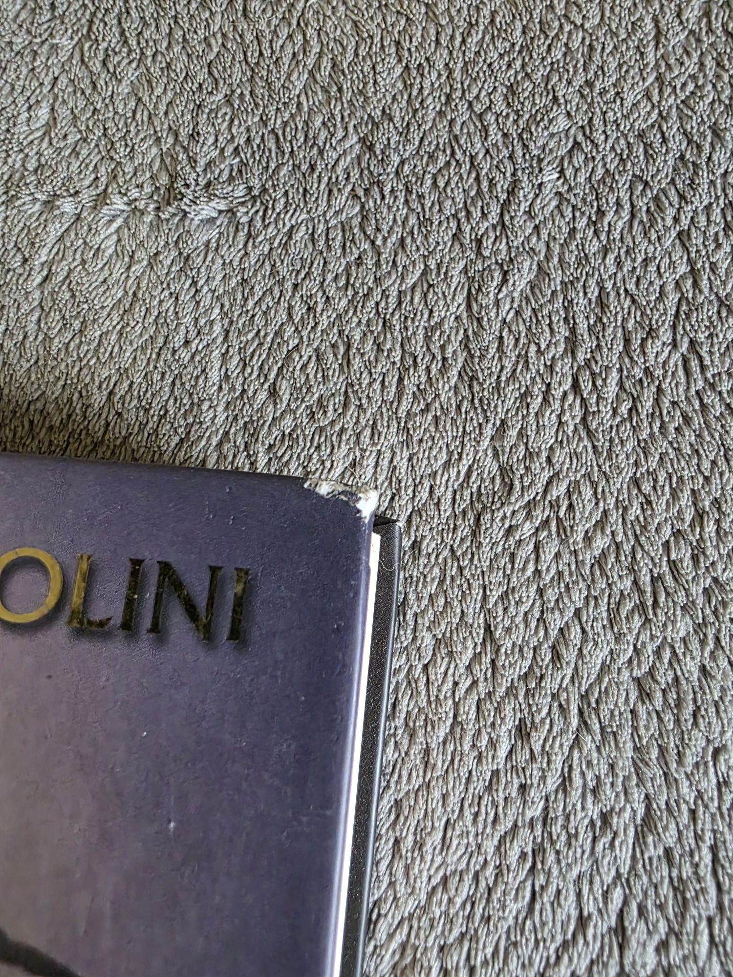 Widelec, Wiedźma i Smok | Christopher Paolini