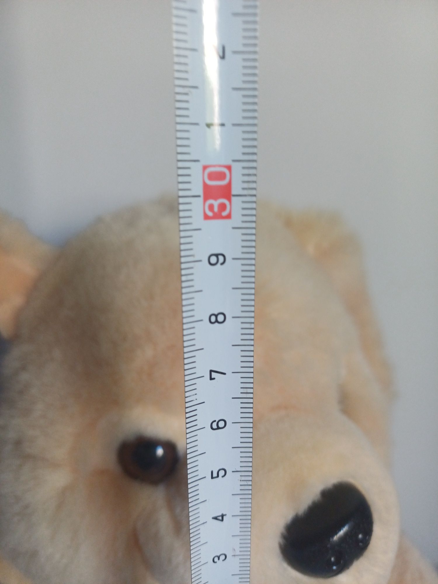 Coelho de peluche