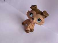 Littlest pet shop piesek unikat